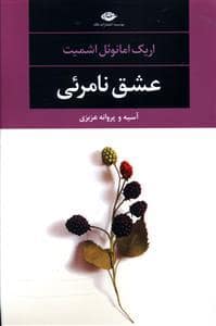 جلد کتاب عشق نامرئی — نگاه