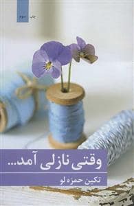 جلد کتاب وقتی نازلی آمد ... — برکه خورشید
