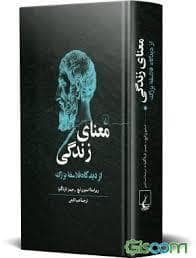 جلد کتاب معنای زندگی از دیدگاه فلاسفه بزرگ — ققنوس