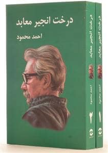 جلد کتاب درخت انجیر معابد - دو جلدی — معین