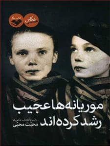 جلد کتاب موریانه ها عجیب رشد کرده اند — کتاب پرگار