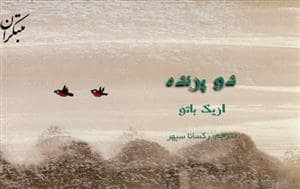 جلد کتاب دو پرنده