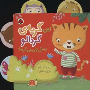 جلد کتاب این گربه ی گردالو (دنبال چی می گرده؟)
