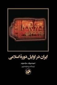 جلد کتاب ایران در اوایل دوره اسلامی — امیر کبیر