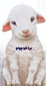 جلد کتاب بره کوچولو