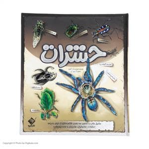 جلد کتاب حشرات - حقایق جالب و تصاویر سهبعدی شگفتانگیز