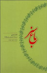 جلد کتاب باغ سبز - گفتار هایی درباره شمس و مولانا — کارنامه